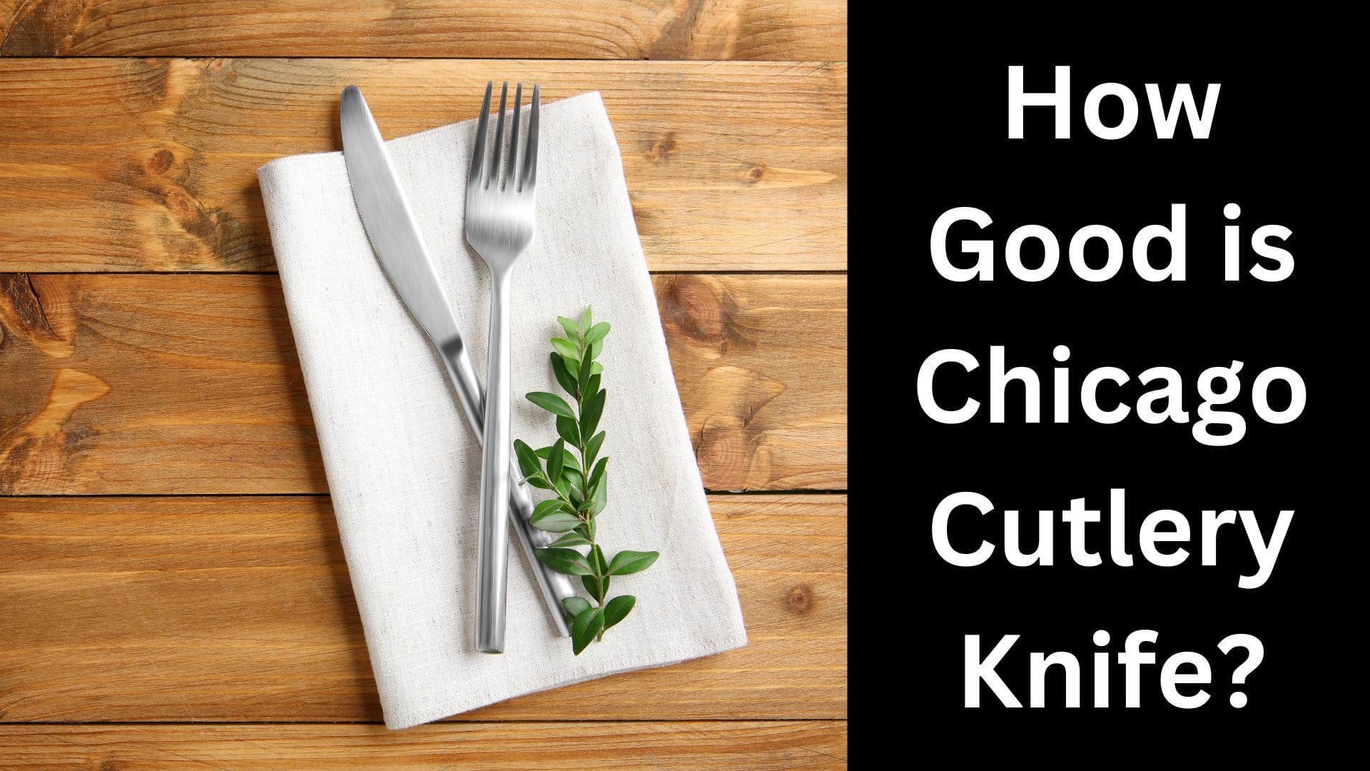 How Good is Chicago Cutlery Knife? Pro Knifer