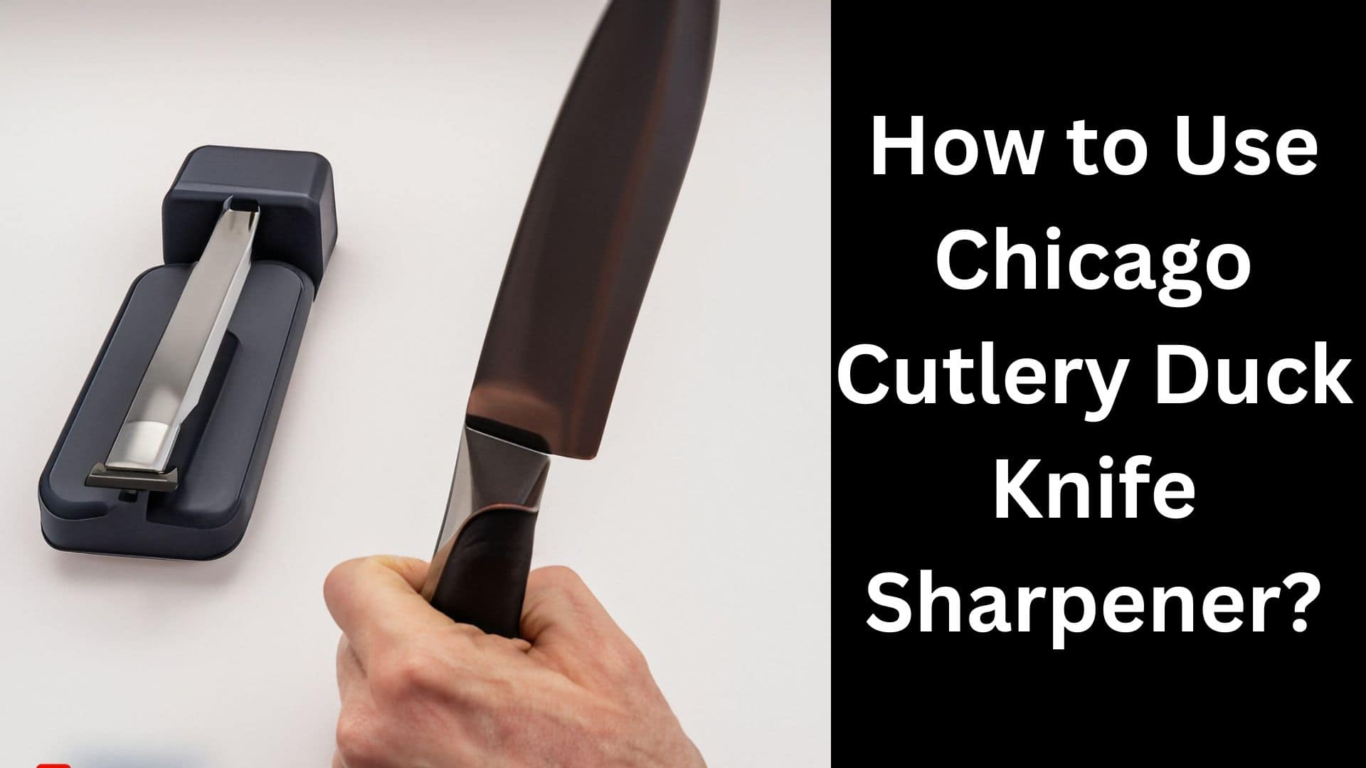 How to Use Chicago Cutlery Duck Knife Sharpener? Pro Knifer