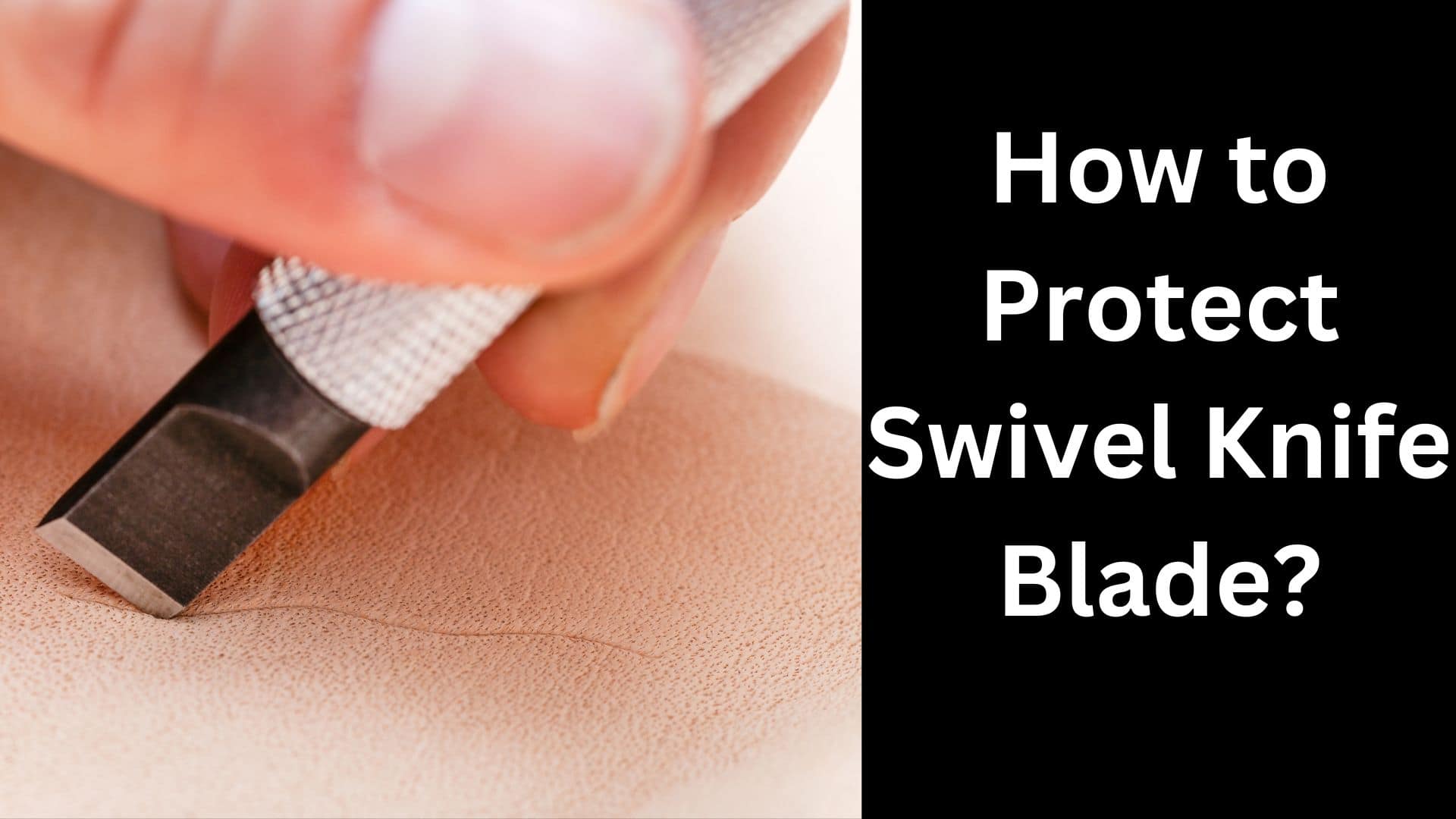 How to Protect Swivel Knife Blade? Pro Knifer